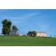 Properties for Sale_Farmhouses to restore_FARMHOUSE TO BE RESTRUCTURED FOR SALE AT FERMO in the Marche in Italy in Le Marche_18